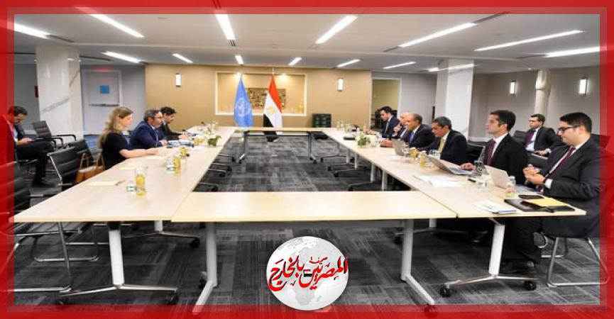 المصريين بالخارج