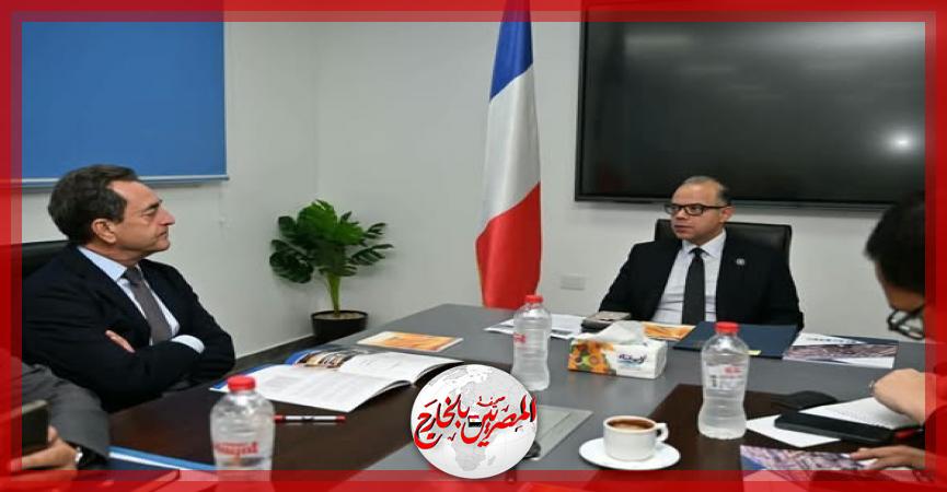 المصريين بالخارج