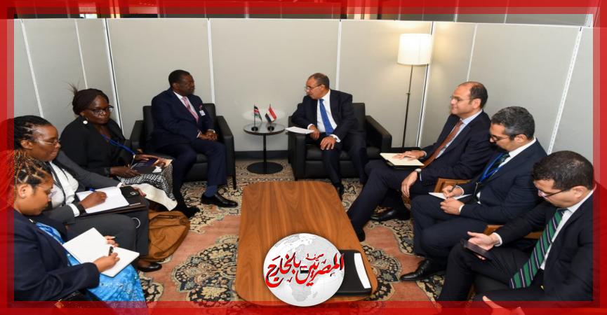 المصريين بالخارج