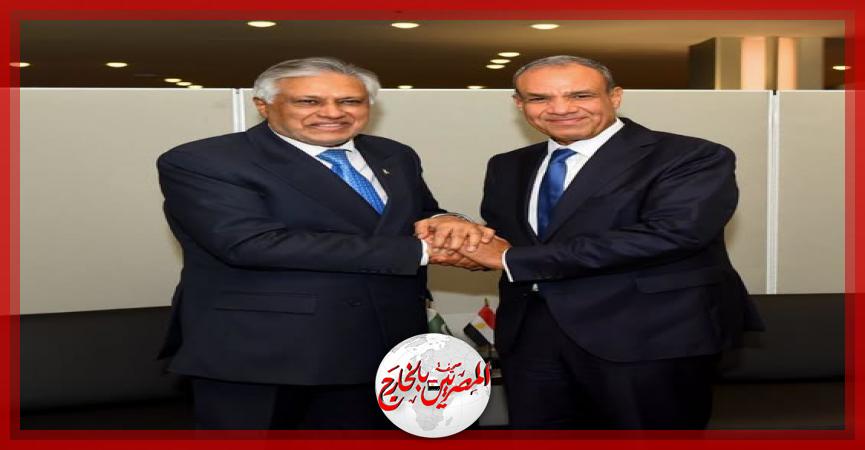 المصريين بالخارج
