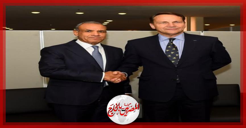المصريين بالخارج