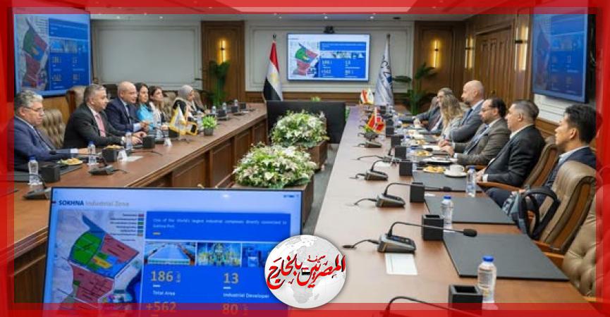 المصريين بالخارج