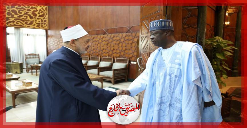 المصريين بالخارج