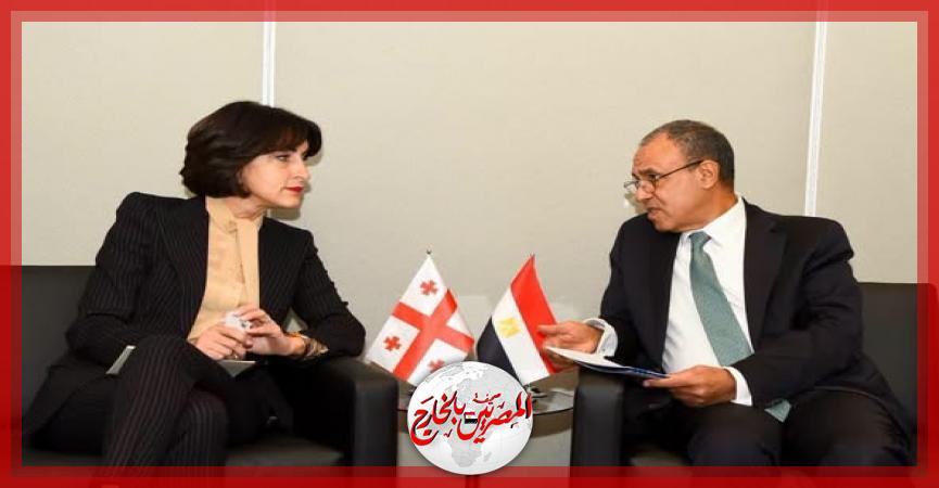 المصريين بالخارج