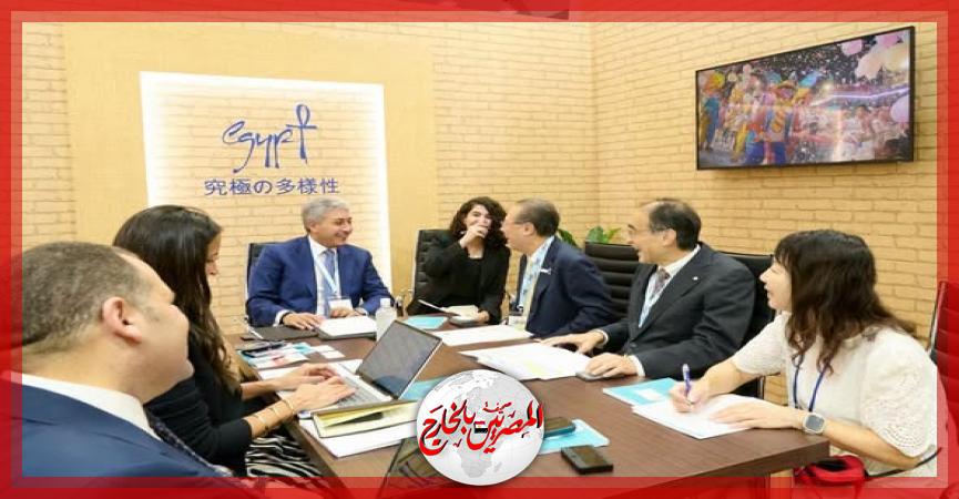 المصريين بالخارج