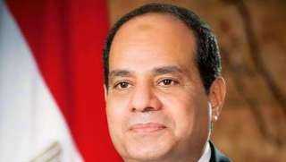 الرئيس السيسي: أقل الوسائل تكلفةً لتدمير أي دولة هو محاولة استدراج شعبها للقيام بتلك المهمة