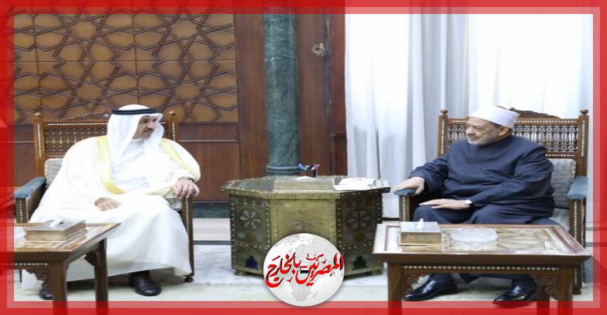 المصريين بالخارج