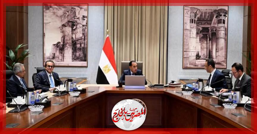 المصريين بالخارج
