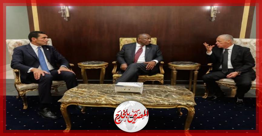 المصريين بالخارج
