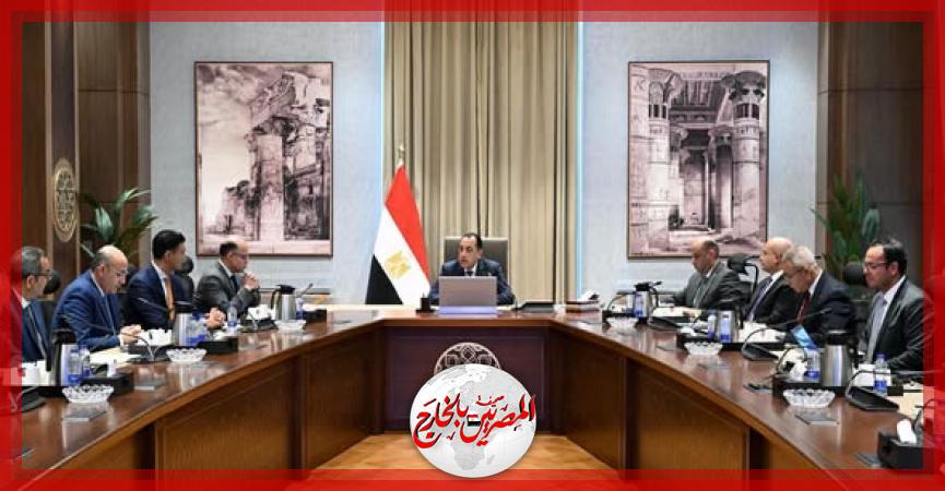 المصريين بالخارج