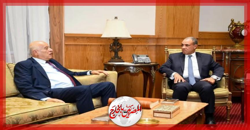 المصريين بالخارج