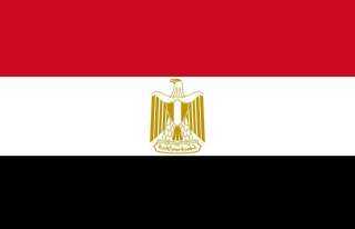 السعودية..انتهاء إشكالية الالتحاق بالتعليم المصري للطلاب الدارسين بنظم دولية أو خاصة لغات وغير الحاصلين على شهادات KG1 وKG2
