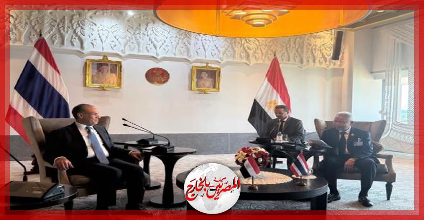 المصريين بالخارج