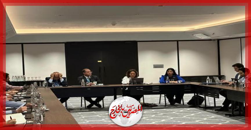 المصريين بالخارج