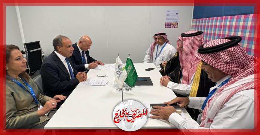 المصريين بالخارج