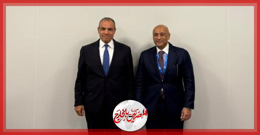 المصريين بالخارج