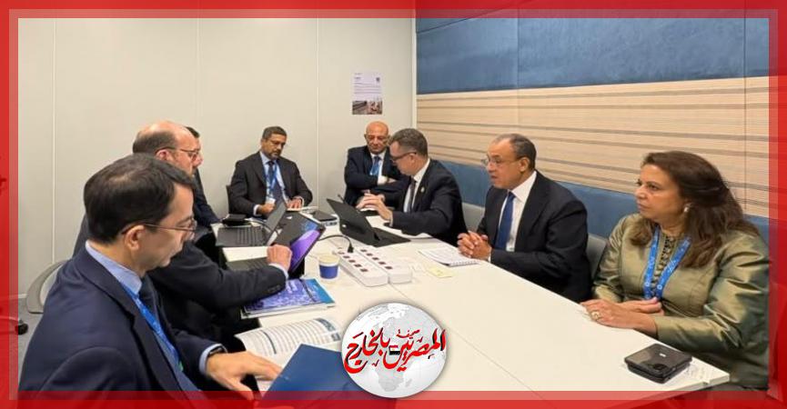 المصريين بالخارج