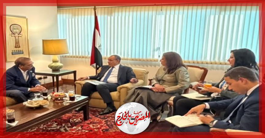 المصريين بالخارج