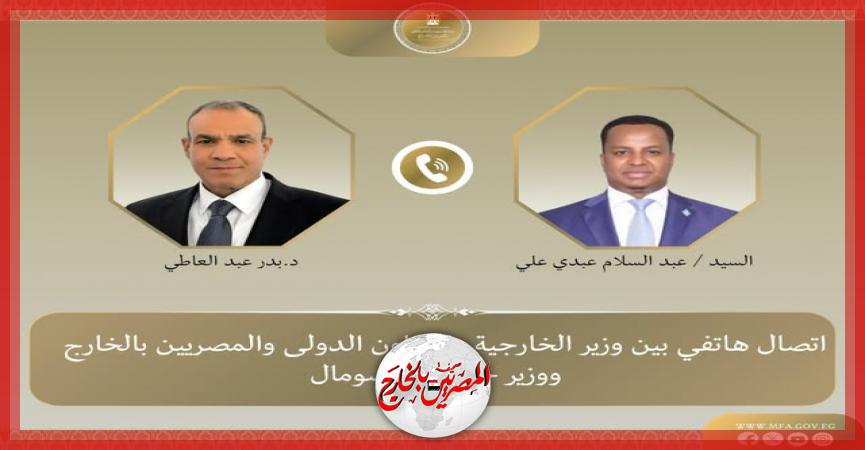 المصريين بالخارج