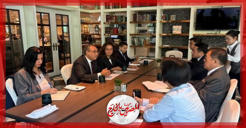 المصريين بالخارج