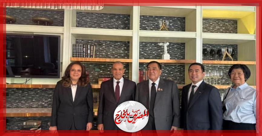 المصريين بالخارج