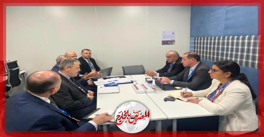 المصريين بالخارج
