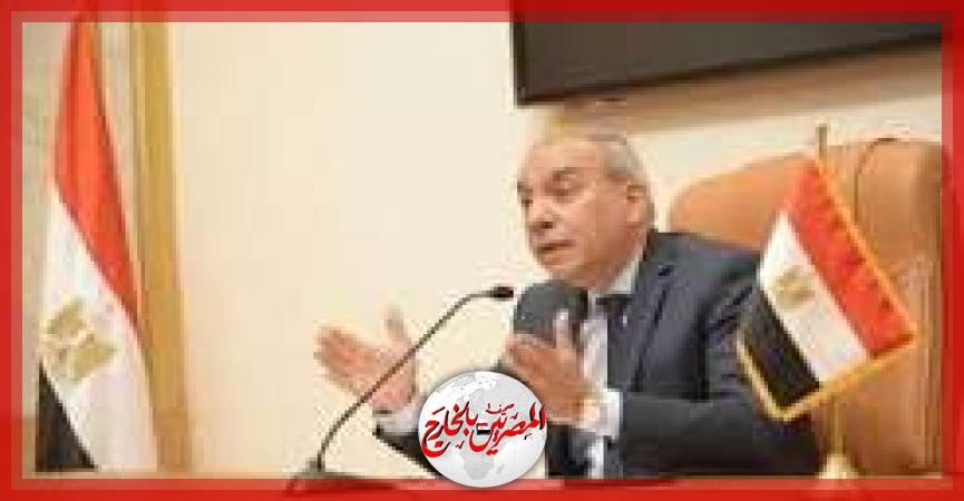 المصريين بالخارج