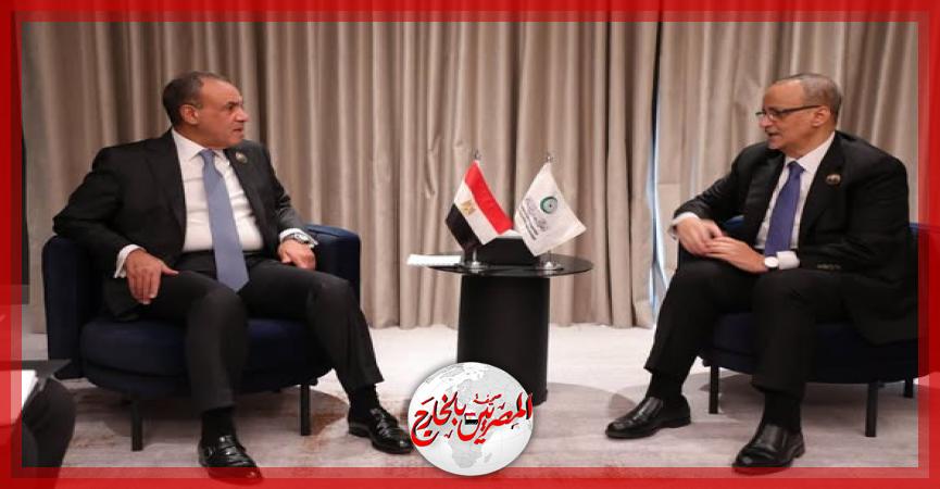 المصريين بالخارج
