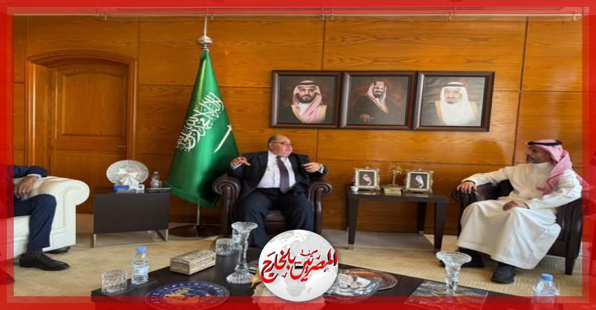 المصريين بالخارج