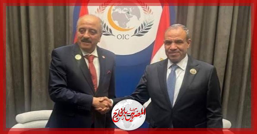 المصريين بالخارج