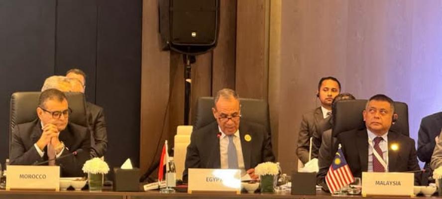 وزير الخارجية يلقي كلمة مصر في اجتماعات الدورة الـ٥٢ لمجلس وزراء خارجية منظمة التعاون الإسلامي
