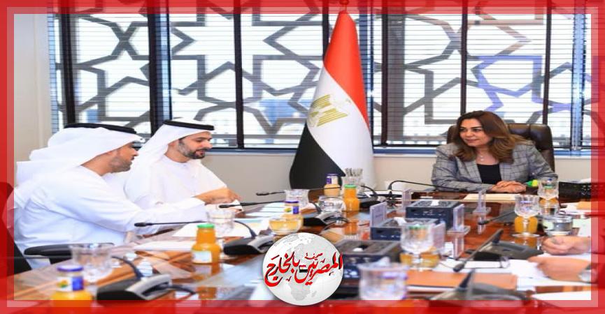 المصريين بالخارج