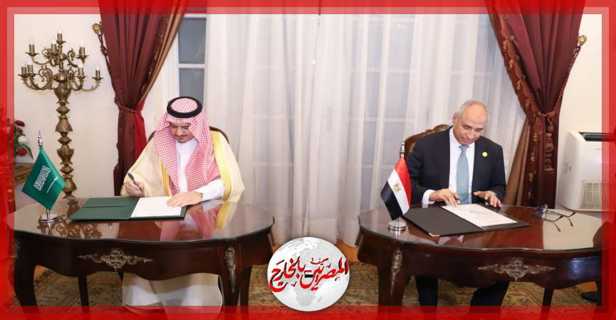 المصريين بالخارج