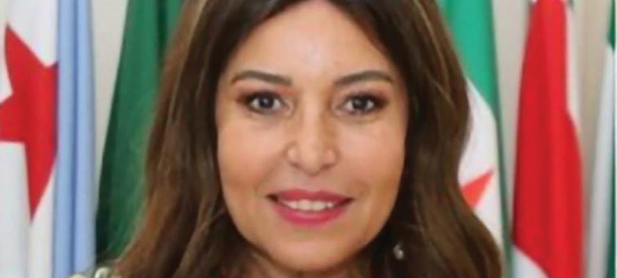 انتخاب السفيرة ماهى عبد اللطيف رئيسا للهيئة الدائمة لحقوق الإنسان التابعة لمنظمة التعاون الإسلامي