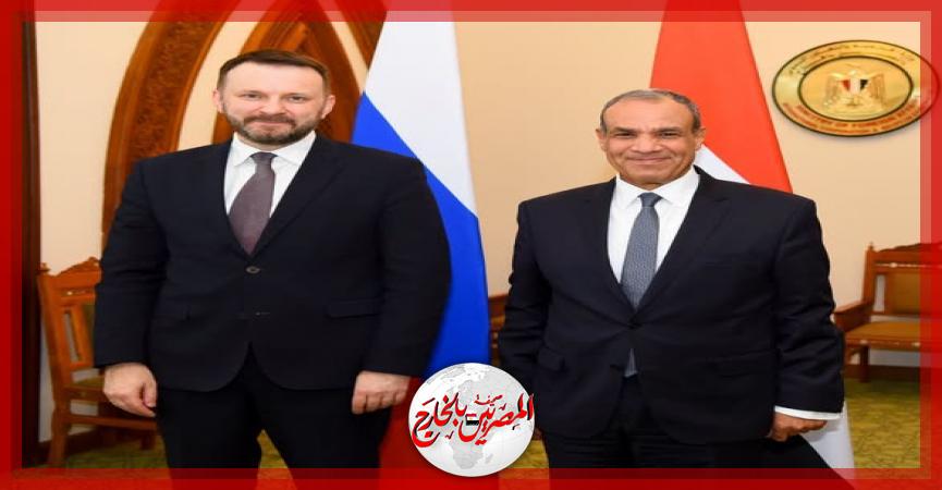المصريين بالخارج