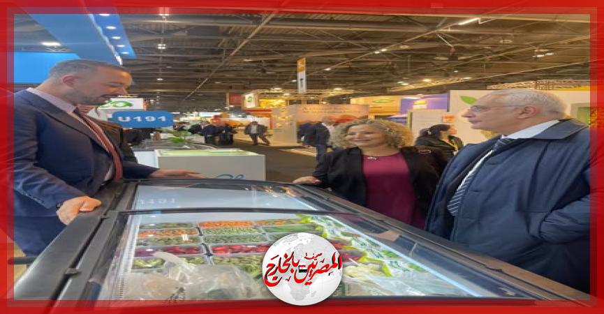 المصريين بالخارج