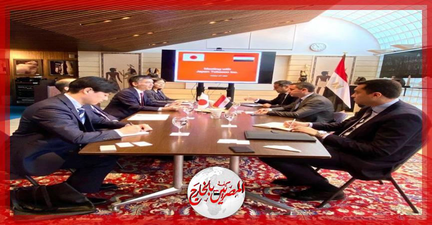 المصريين بالخارج