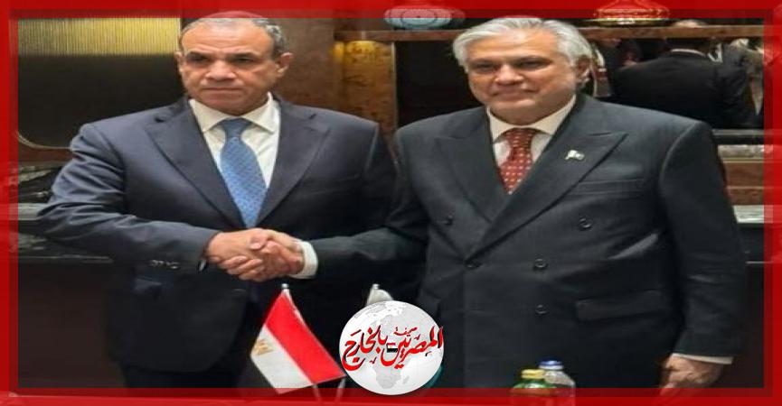 المصريين بالخارج