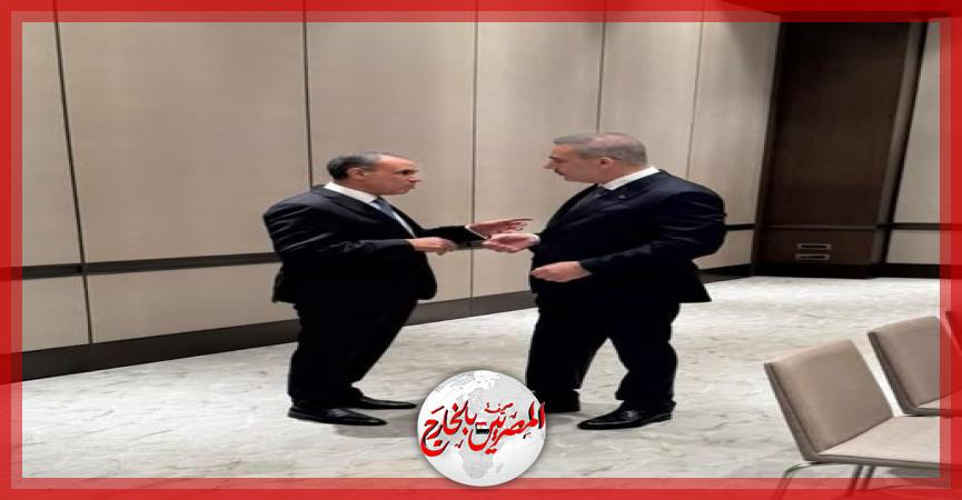 المصريين بالخارج