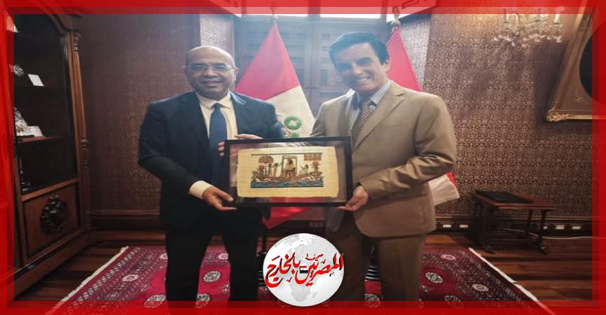 المصريين بالخارج