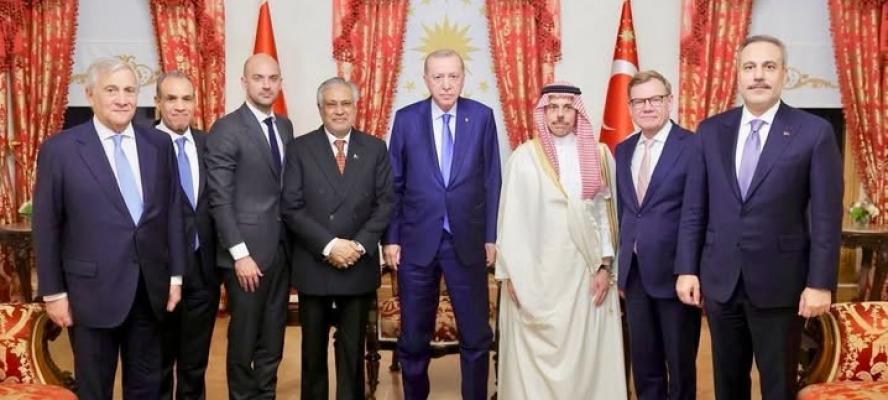 وزير الخارجية يلتقي الرئيس التركي