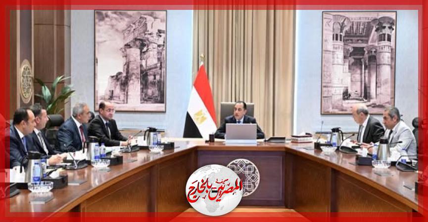 المصريين بالخارج