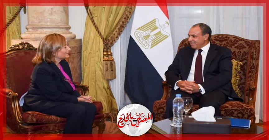 المصريين بالخارج