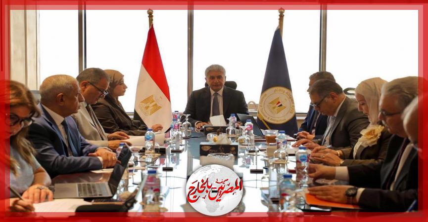 المصريين بالخارج