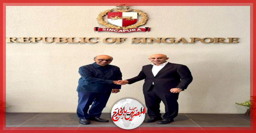 المصريين بالخارج
