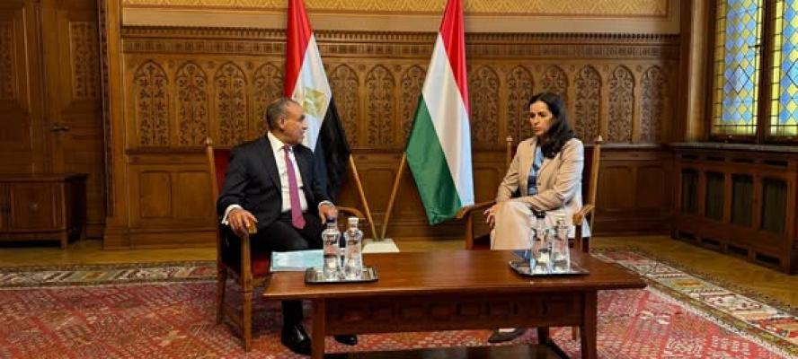 وزير الخارجية يبحث مع نظيرته المجرية العلاقات الثنائية والمستجدات الإقليمية