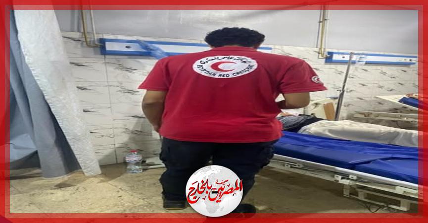 المصريين بالخارج