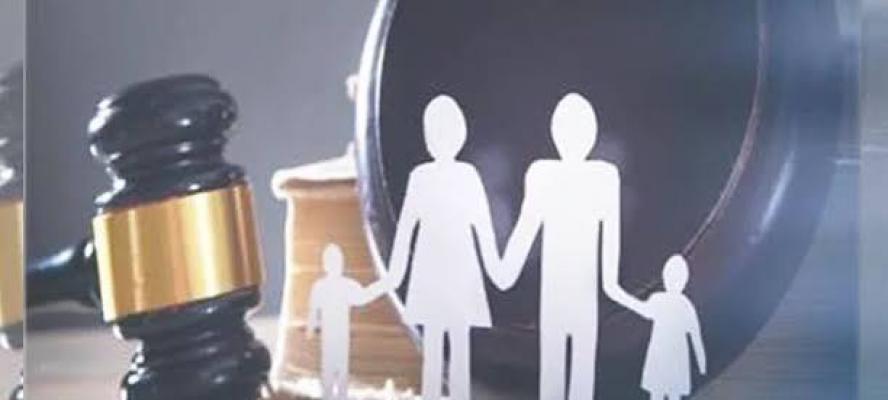القضاء يتصدى لدعاوى رؤية الصغار المقيمين خارج مصر بالرفض لهذه الأسباب