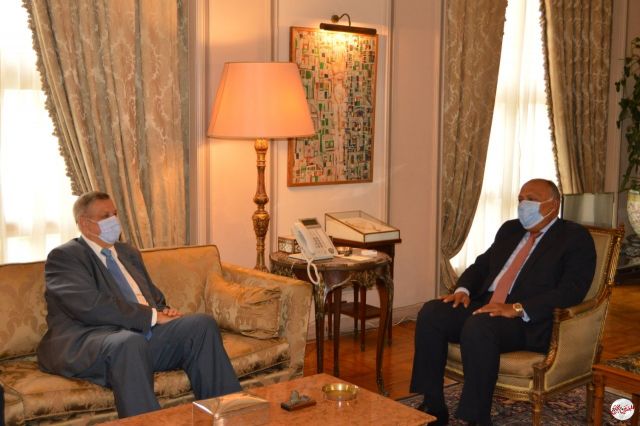 المصريين بالخارج