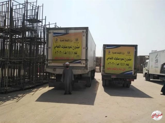 الأوقاف: انطلاق سيارات توزيع لحوم الأضاحي إلى 5 محافظات